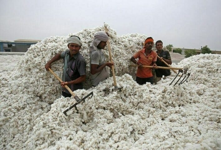 Pakistan textile industry opposes cotton import duties