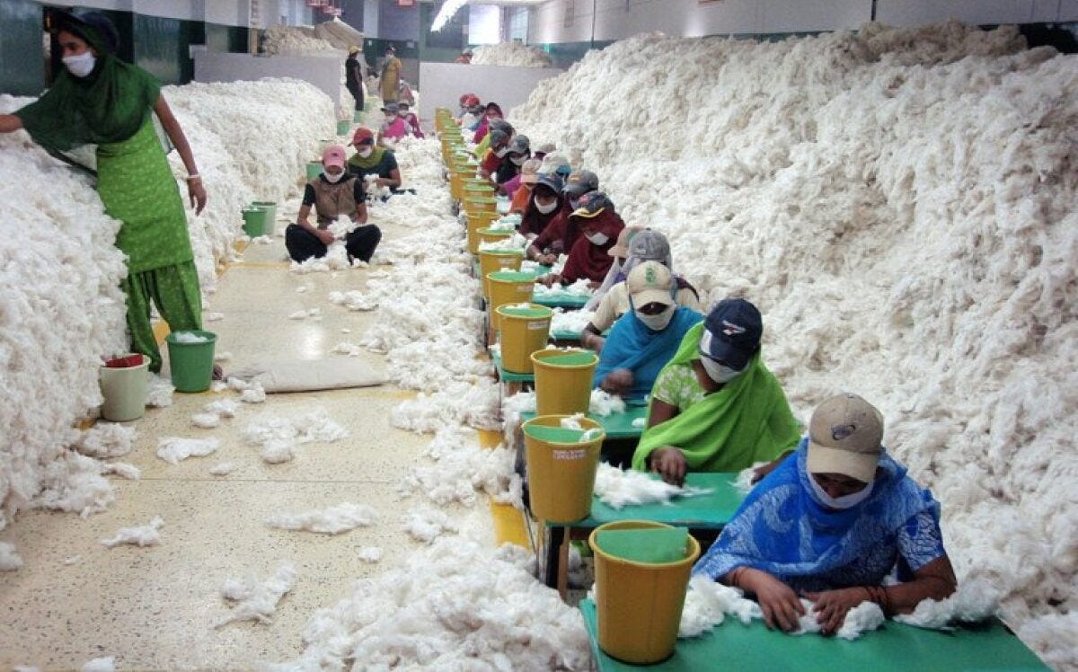 ICE cotton rebounds 4.15% as Vietnam boosts US imports, speculative buying lifts sentiment