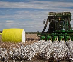 Australia’s wool and cotton exports to India on the rise