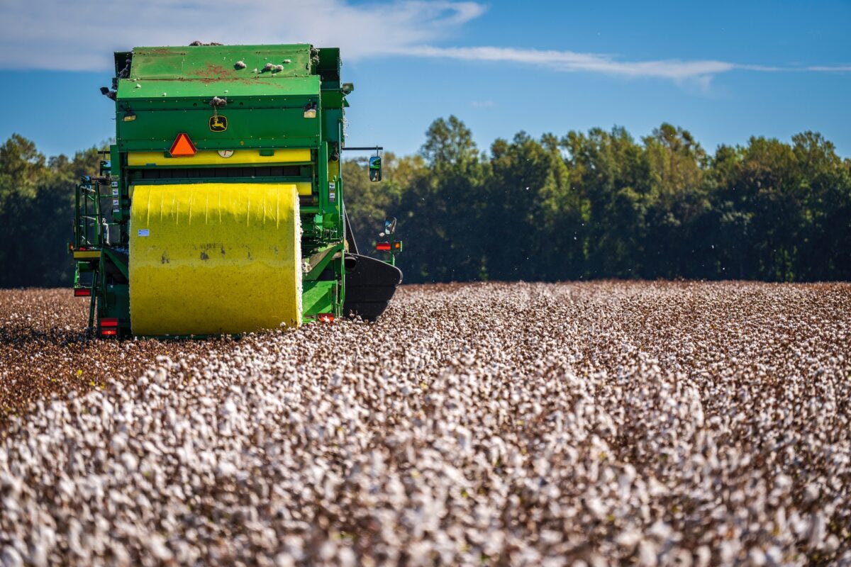 Australian cotton carving a niche globally with its superior quality and strength