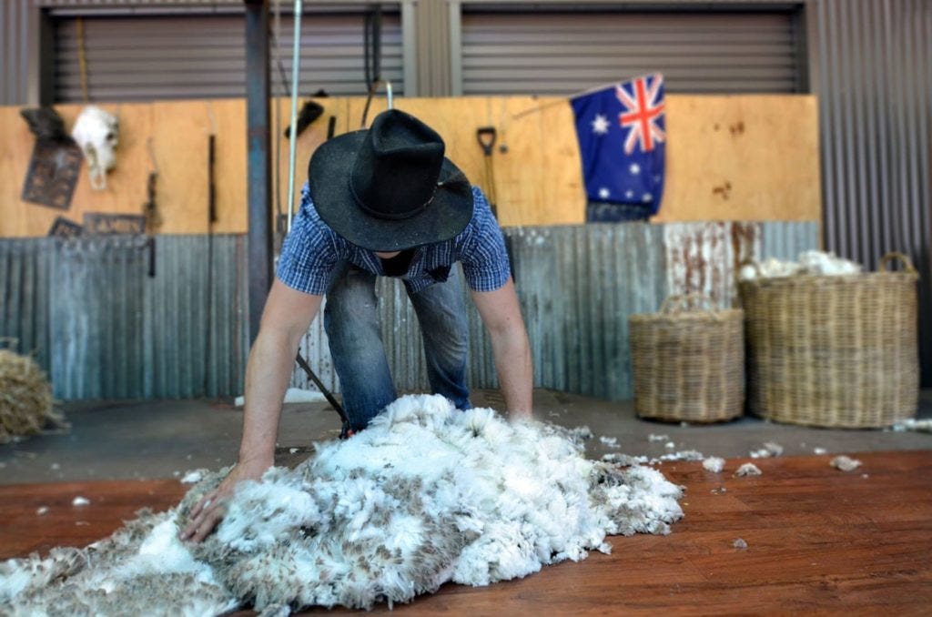 Australian wool market opens with mixed signals.
