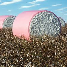 Bangladesh, Pakistan, Indonesia leverage US cotton imports to ease tariff pressure