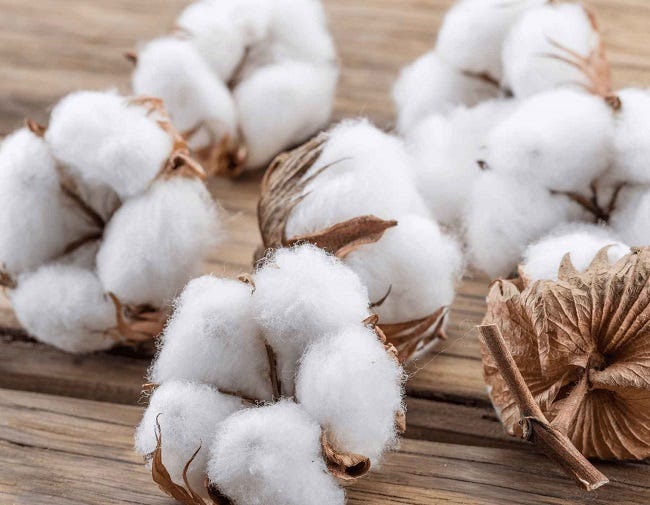 Bangladesh’s US cotton imports fall 25.5% in 2024 amid cost and lead time concerns