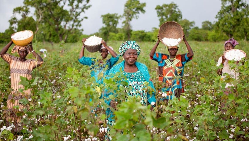 Better Cotton joins WTO-FIFA push for sustainable African cotton