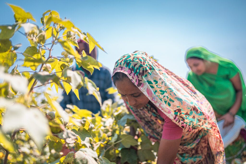 Better Cotton, FS impact launch fund for Indian farmers