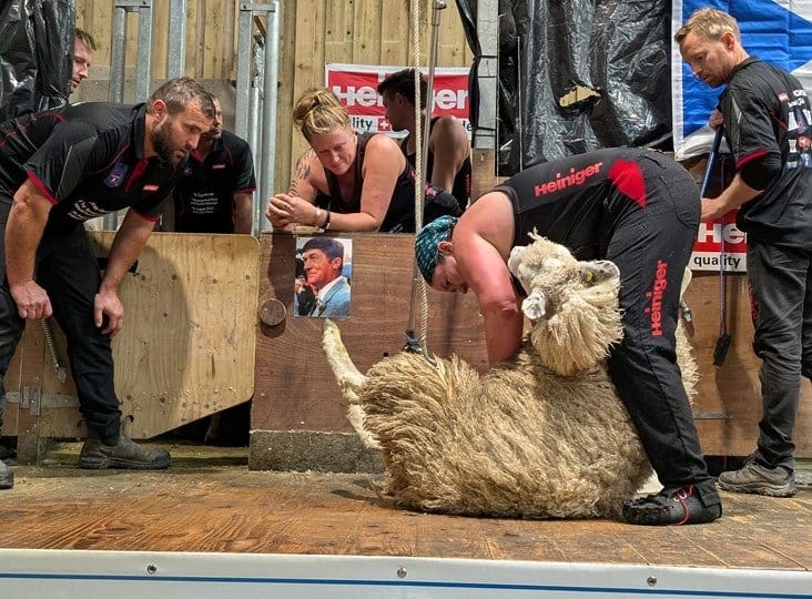 British Wool celebrates record-breaking shearers and industry growth