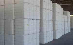 CAI: India's cotton exports to rise on Bangladesh demand.