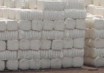 CCI exceeds target, procures 31 lakh bales of cotton in 2024-25