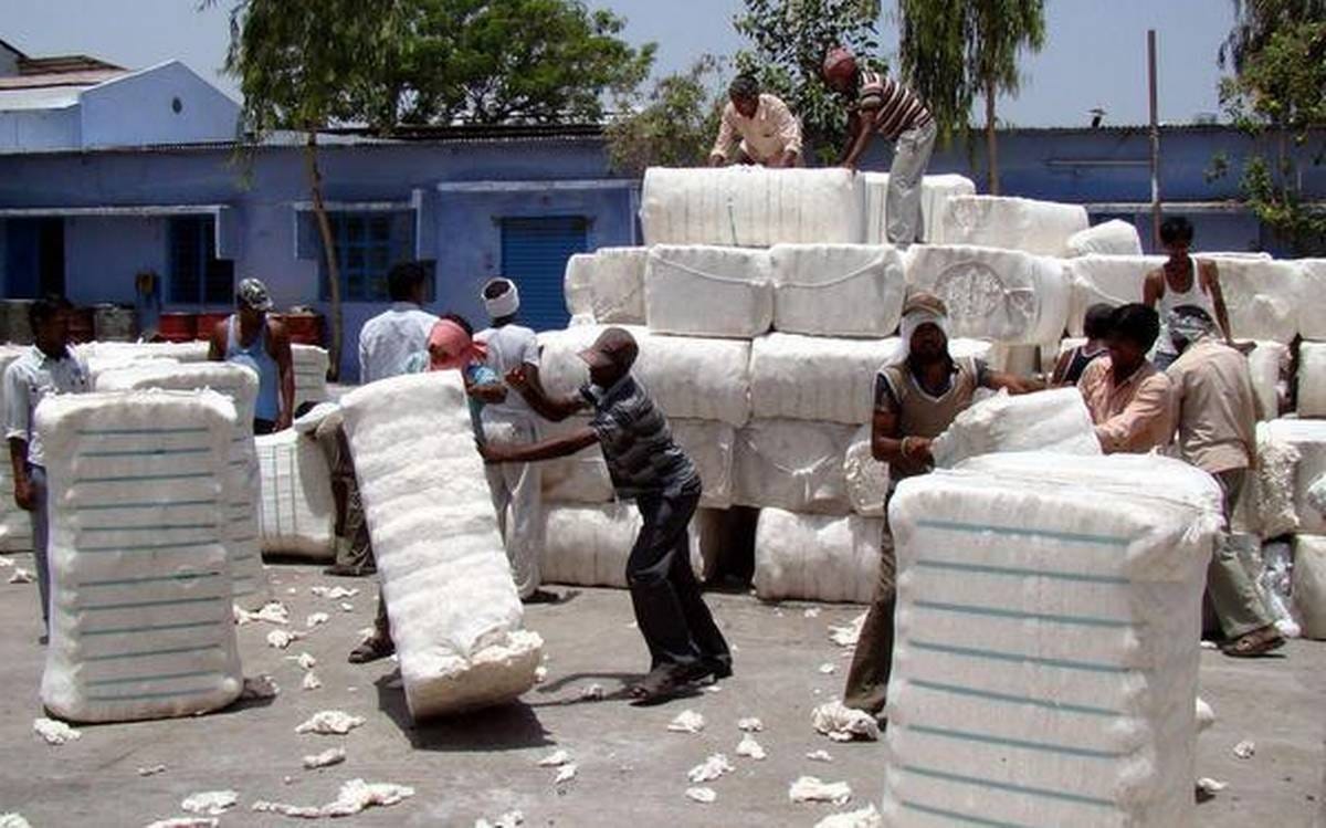 CCI's cotton procurement crosses one crore bales, Telangana leads