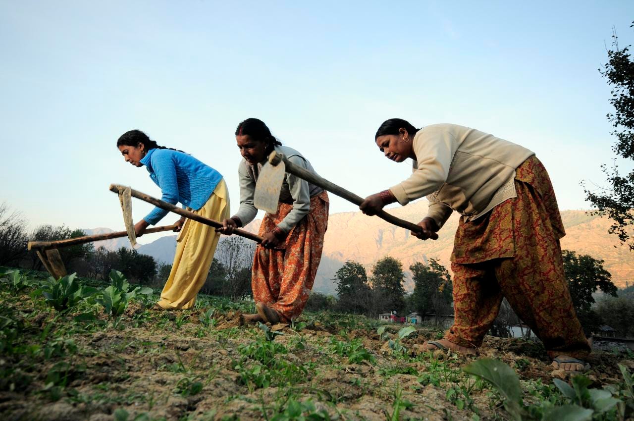 CITI-CDRA guides women cotton farmers to innovative success