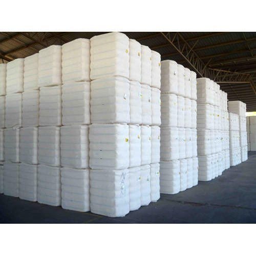 Cotton prices up after dollar weakens and short covering