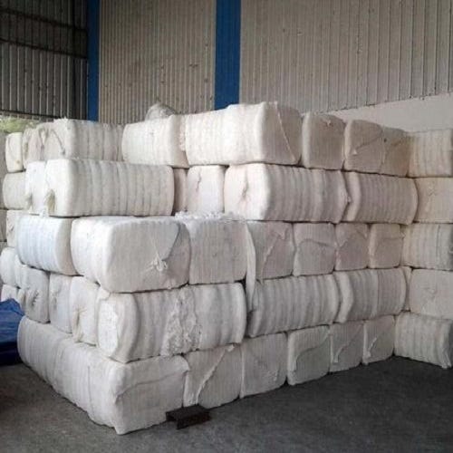Cotton candy gains 0.02% on supply concerns, CAI ups crop forecast