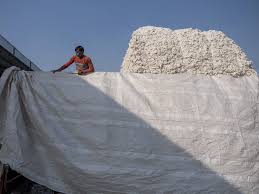 Cotton Futures reach yearly high amid US-India trade talks and positive demand outlook