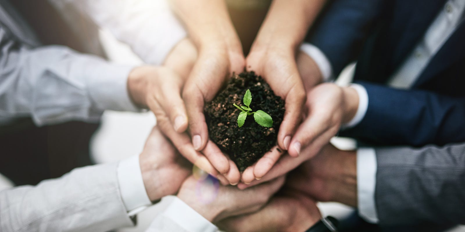 Cotton Inc. Lifestyle Monitor Survey reveals sustainability concerns among consumers