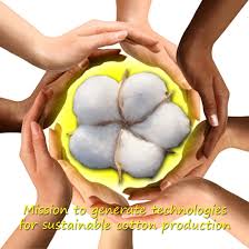 China's cotton textile industry booms after spring break