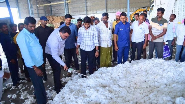 Farmers in Kurnool struggle with CCI's stringent cotton moisture norms