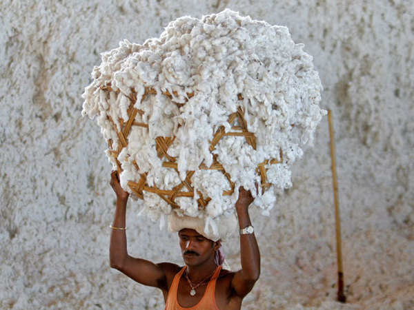 Government delays QCO implementation as Indian MSMEs struggle to meet cotton standards.