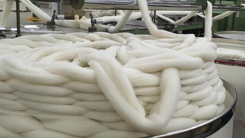 Global wool market poised for significant growth by 2030: Report.