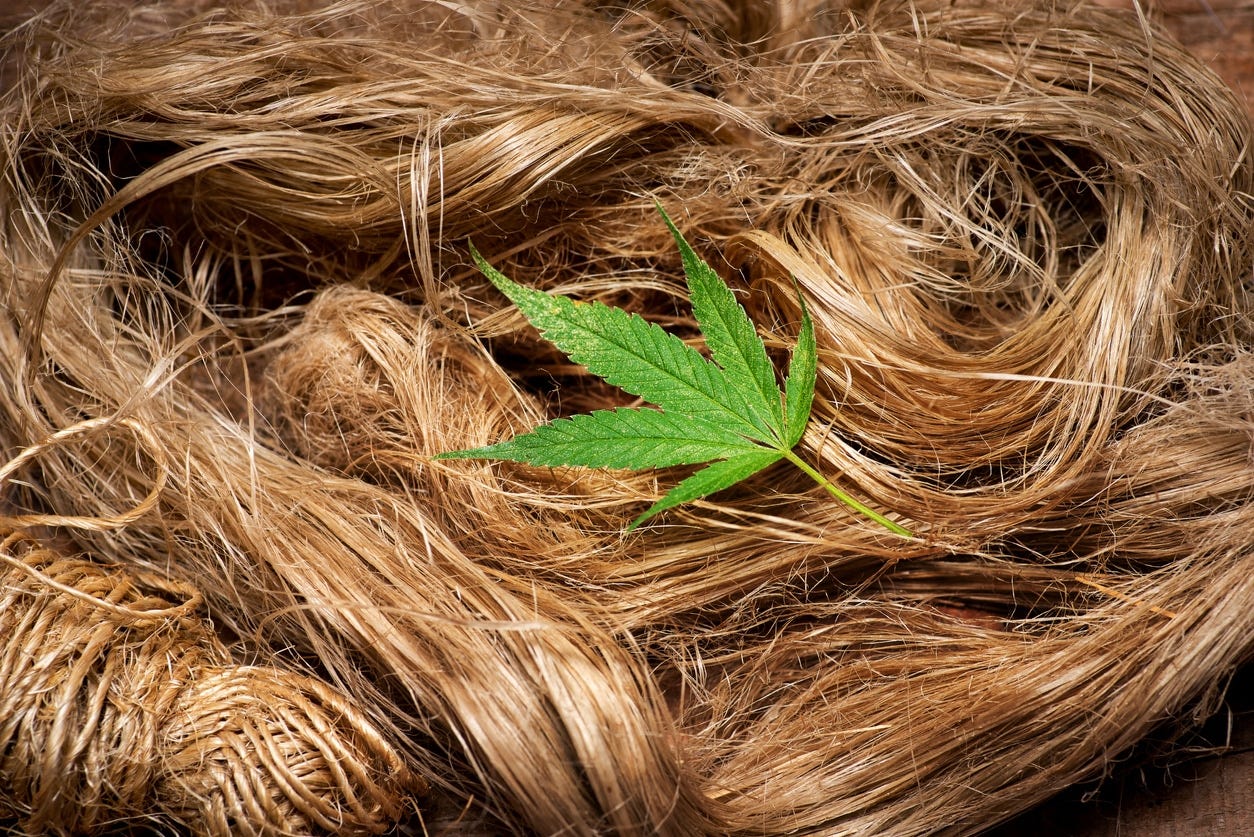 Hemp Fibre: A growing trend in a budding market