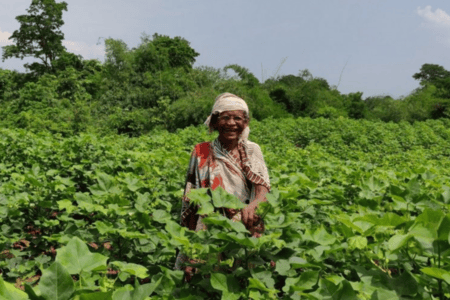 Hugo Boss Foundation partners GVK Society to boost regenerative cotton farming in India