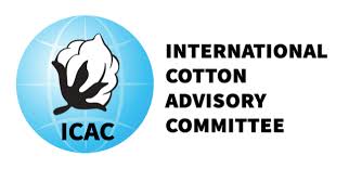 Cotton down on ICAC crop forecast.