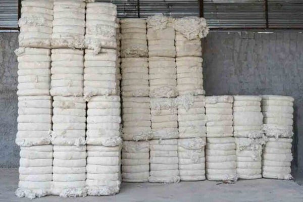 India procures 100 lakh bales under MSP by March 2025