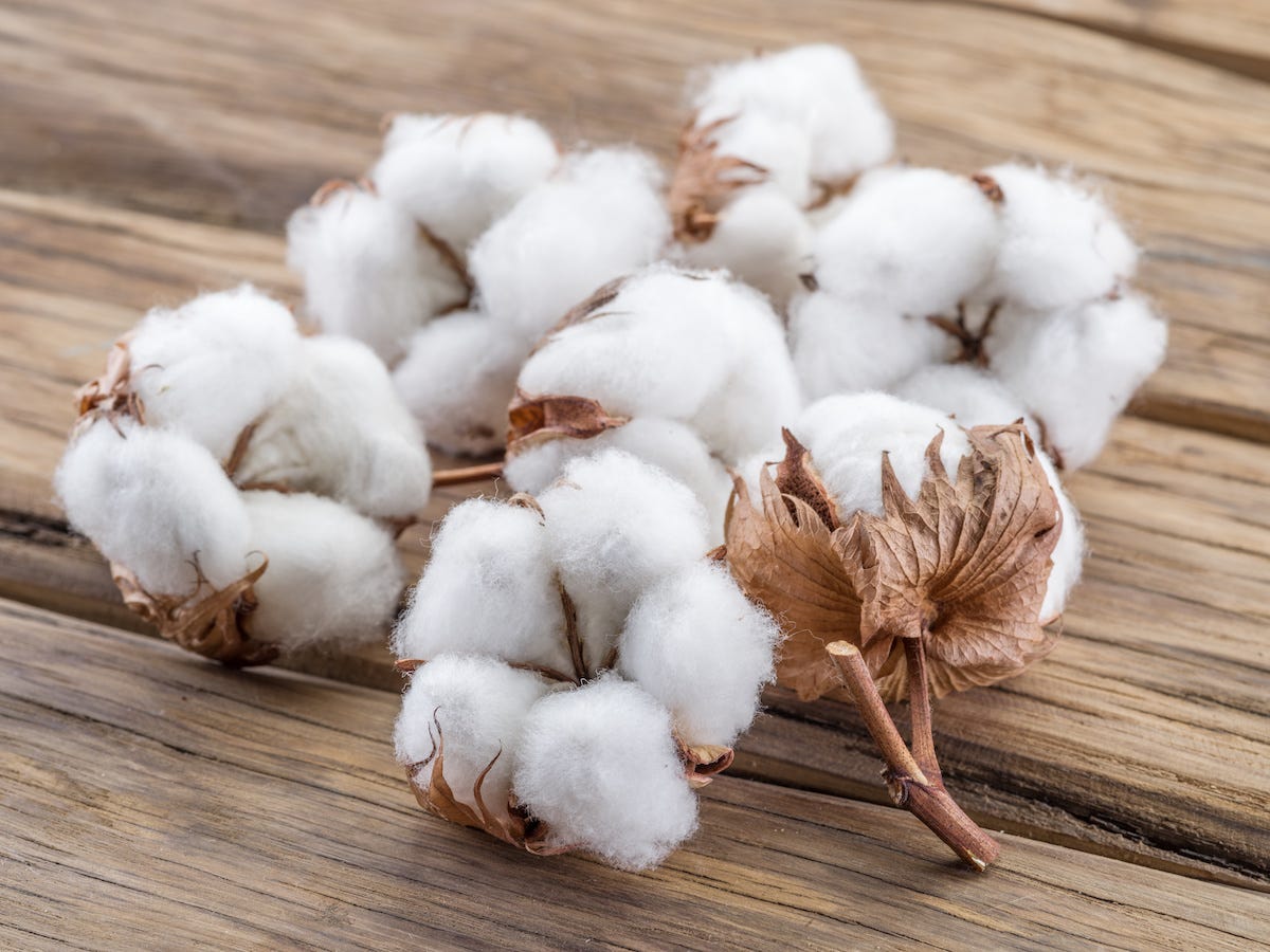 India's cotton exports rise, imports fall