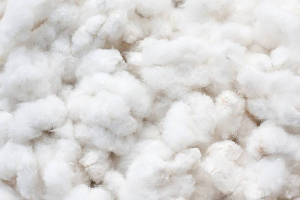 India's cotton exports soar 137%, buoyed by competitive prices