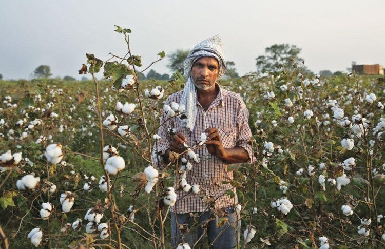 India's cotton imports to rise amidst low production