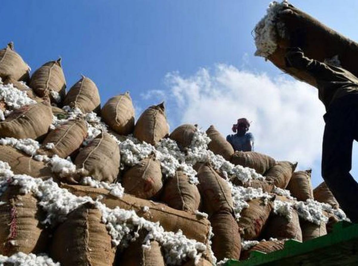 India's cotton stocks fall to 30-year low.