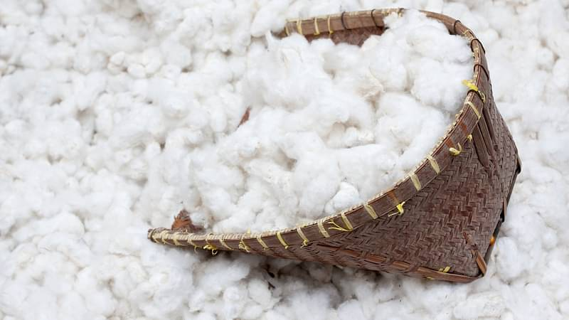 India’s cotton traders suspend trade with Turkey over support to Pakistan: CAI