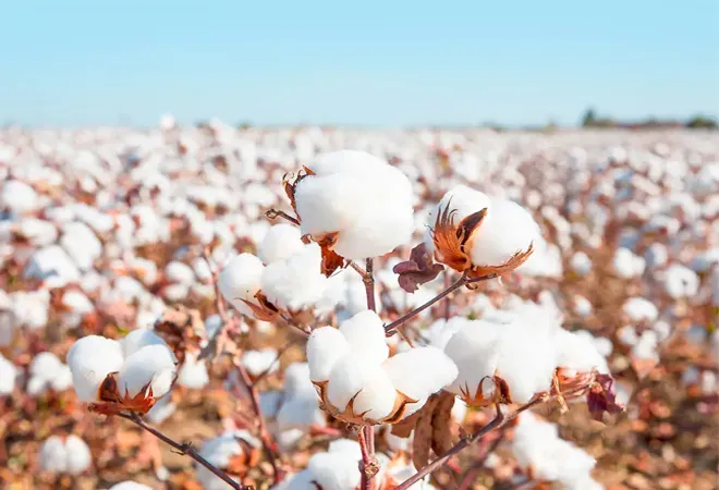 Indian cotton textiles defy headwinds as exports grow 6.7% 