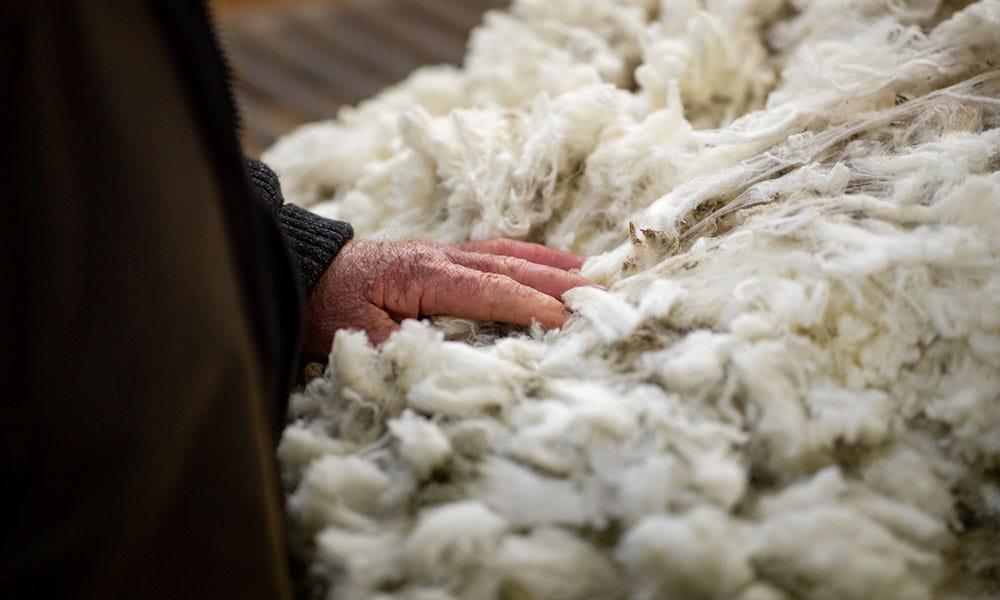 Italian wool pushes for global wool standards