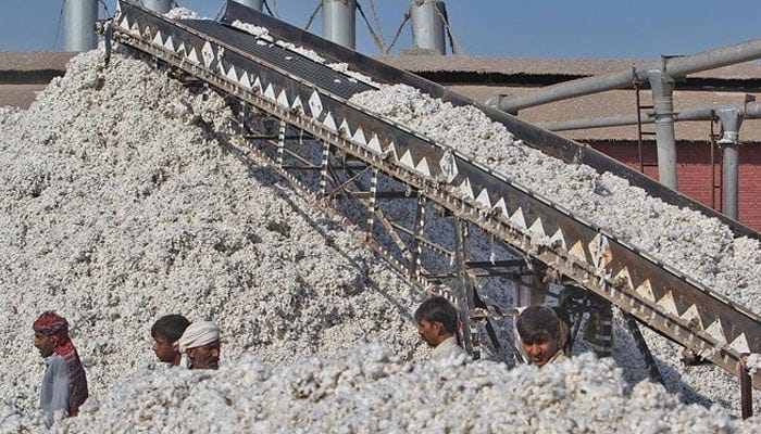 Pakistan’s KCA urges inclusive approach in national cotton policy