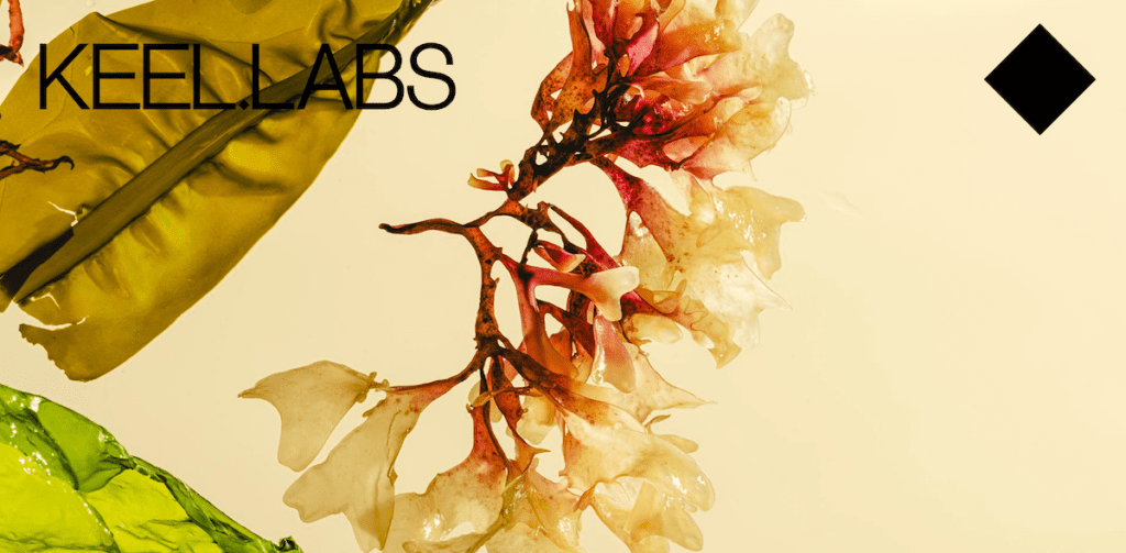 Keel Labs revolutionizes sustainable fashion with seaweed based Kelsun fiber
