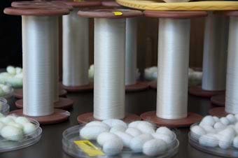 Kraig Labs nails spider silk production trial.