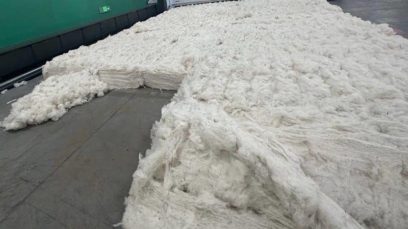 Kyrgyzstan's cotton exports to China increases 19-fold in 2024.