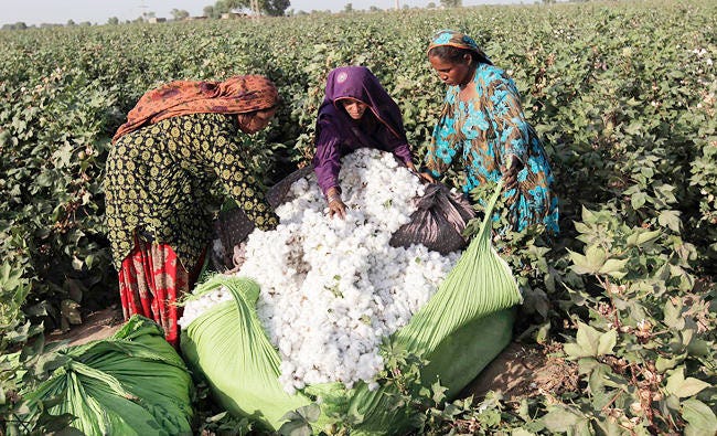 Labour shortage disrupts textile output in Gujarat and Maharashtra, but prices remain stable