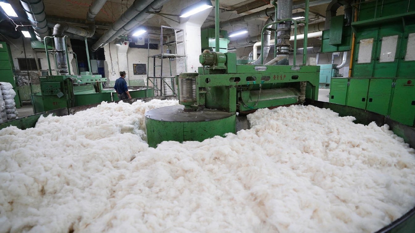Madhya Pradesh to boost cotton and apparel sectors