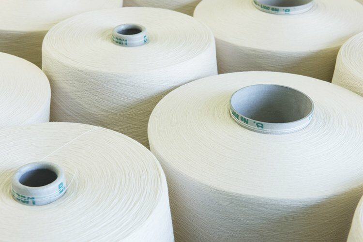 India ensures adequate cotton supply for 2024-25 season