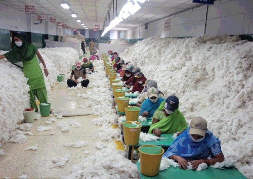 Andhra Pradesh’s cotton contamination concerns highlighted at AGM 2025