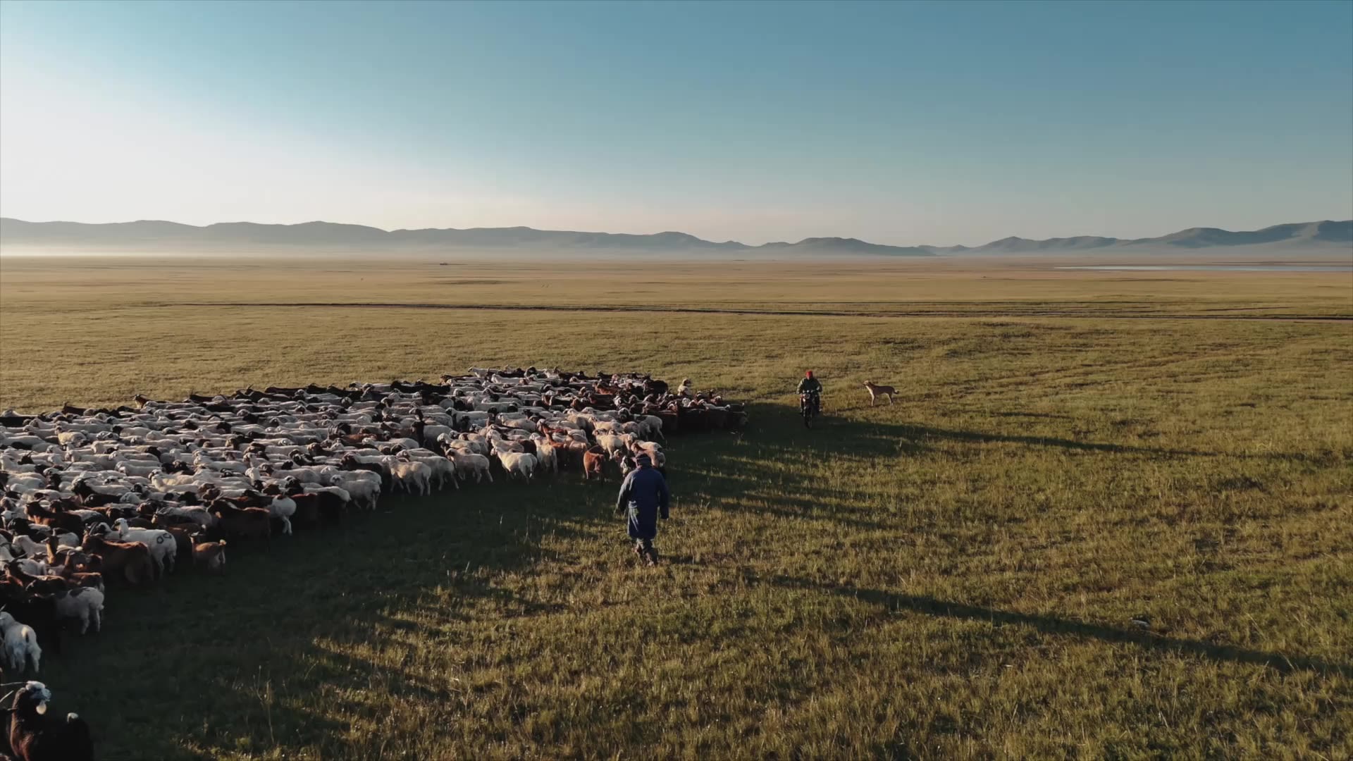 Mongolia to boost cashmere processing, aims for economic growth