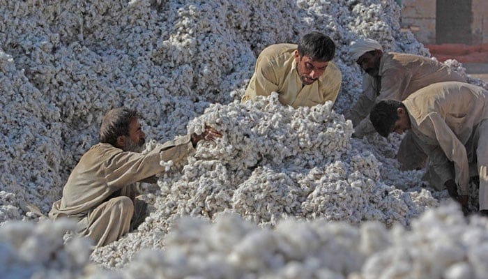 Pakistan plans to boost US cotton imports to ease trade tensions