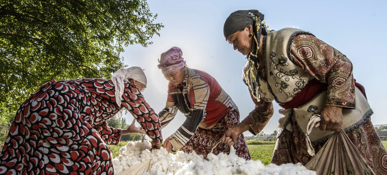 Pakistan to import three million bales of cotton from Kyrgyzstan
