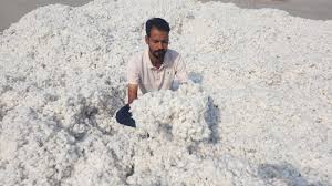 Navigating the Xinjiang cotton conundrum, and the challenges for India