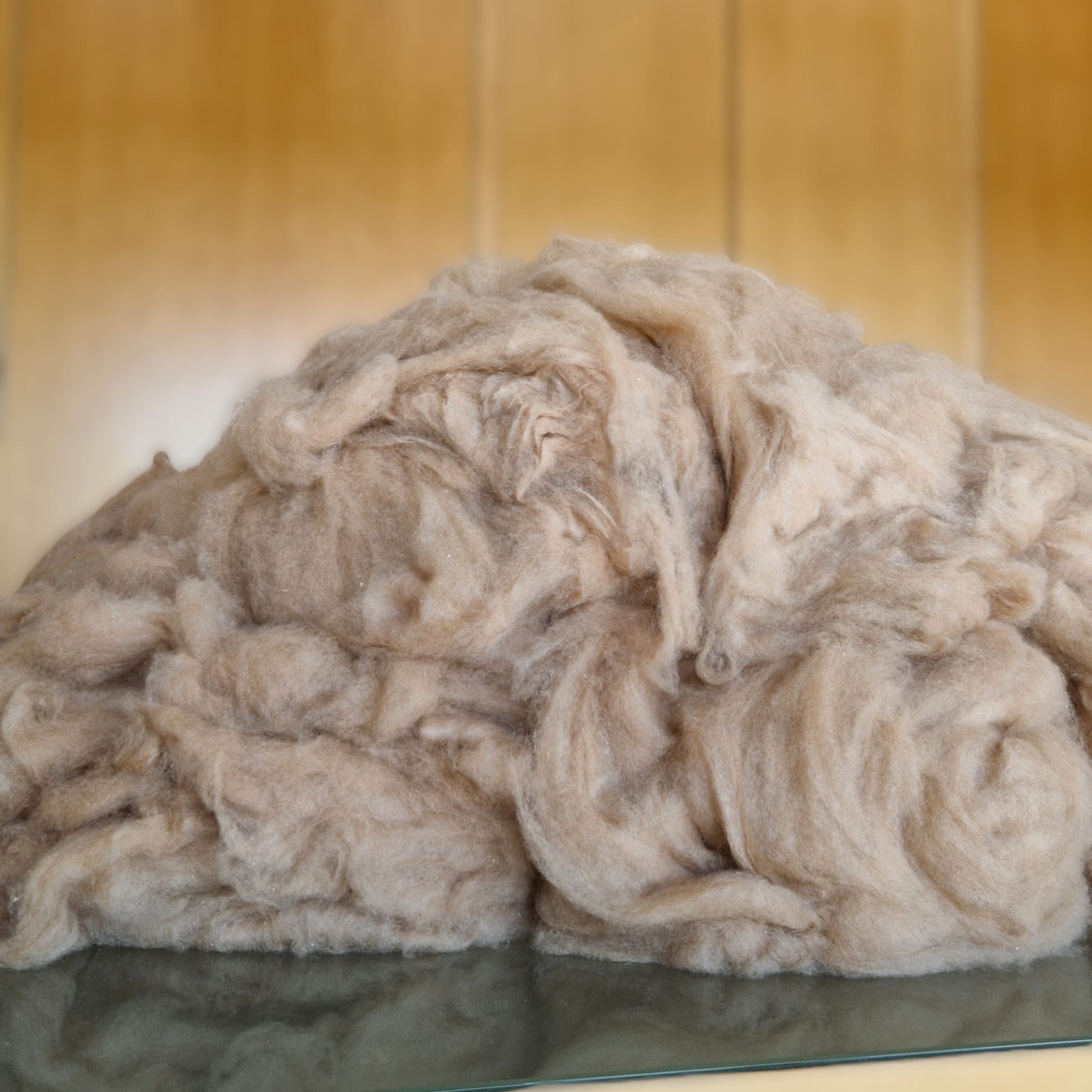 Schneider Group unveils world’s first Superfine Argentinian Vicuna bale, setting record for luxury yarn