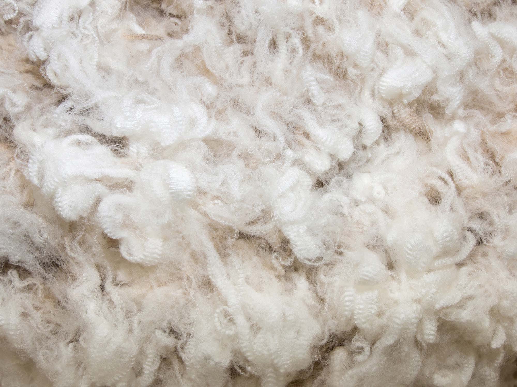 South Africa's greasy wool exports drop 7.2% in 2024 to 47,000 tons