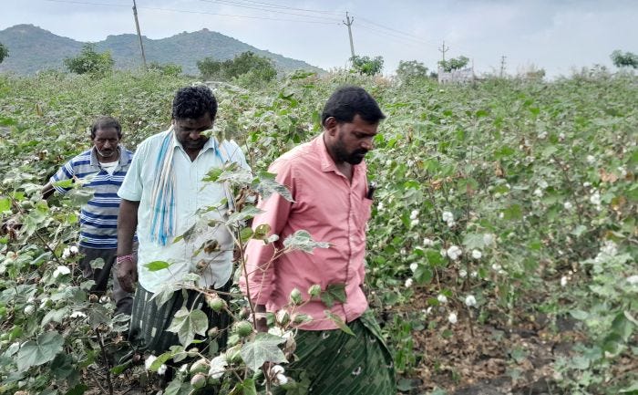 Sportking India, ATGC enhance cotton production
