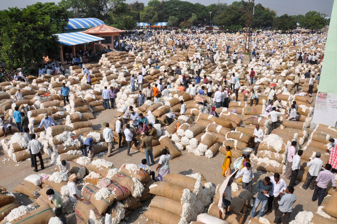 Telangana's Khammam district gears up for cotton procurement