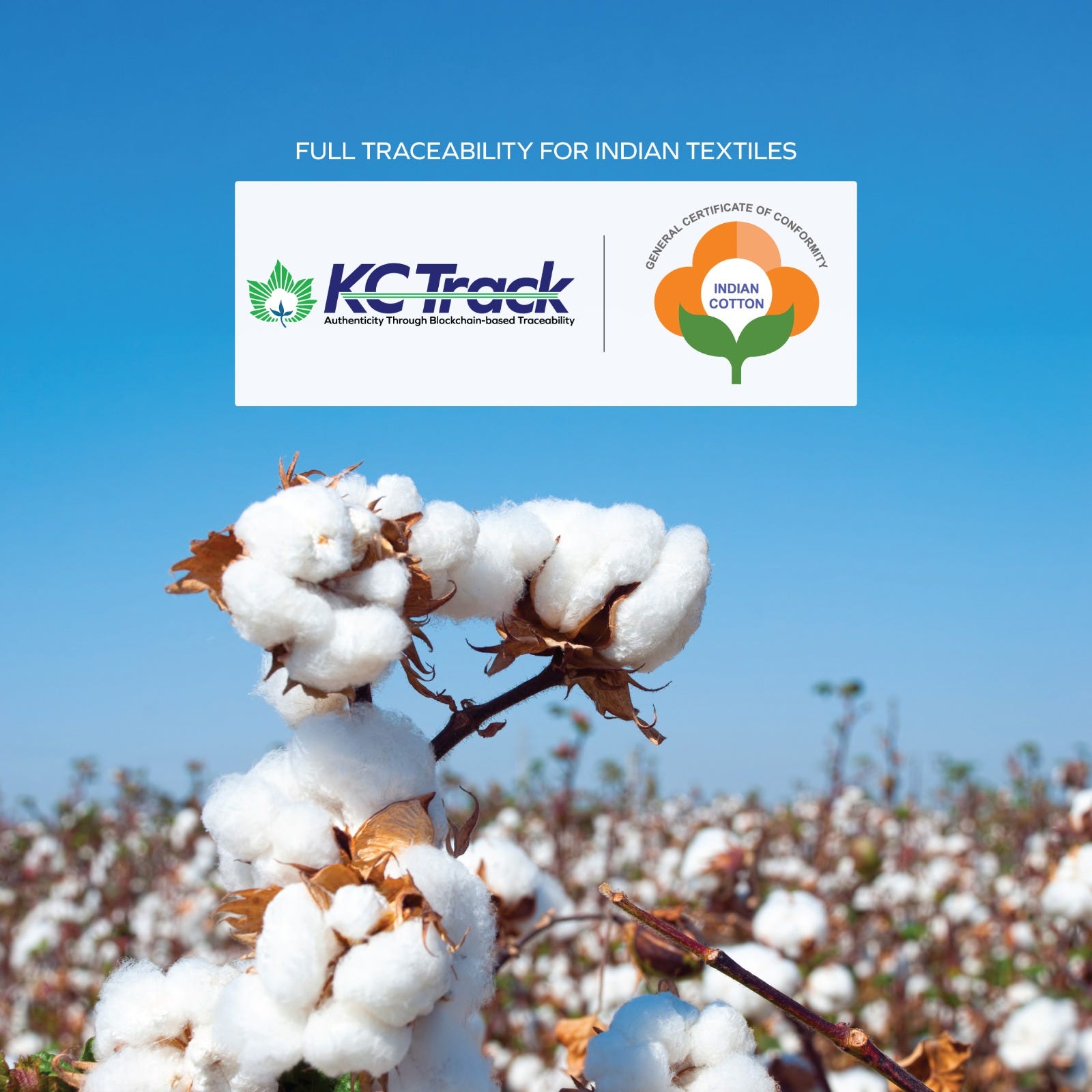 TEXPROCIL boosts cotton traceability with blockchain platforms